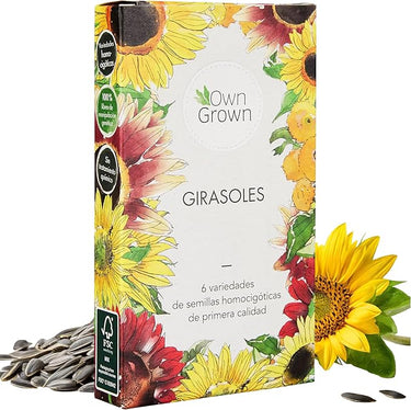 Kit de semillas de girasol: Simiente de girasol de primera calidad con seis bonitas variedades – Set de regalo para el jardín – Flores para abejas – Semillas para plantas de OwnGrown